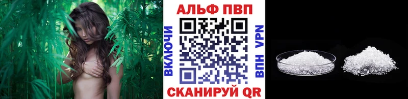 купить наркотик  Порхов  гидра ссылки  Alpha-PVP Соль 