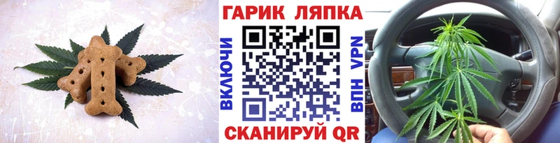 где найти   ОМГ ОМГ ТОР  Cannafood конопля  Порхов 
