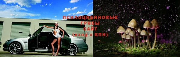 прущие грибы Арсеньев