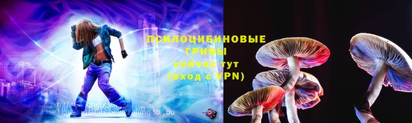 прущие грибы Арсеньев