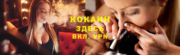 прущие грибы Арсеньев