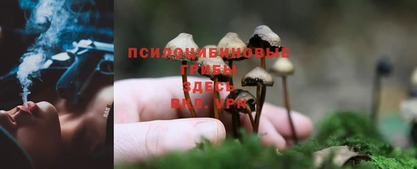 кристаллы Аркадак