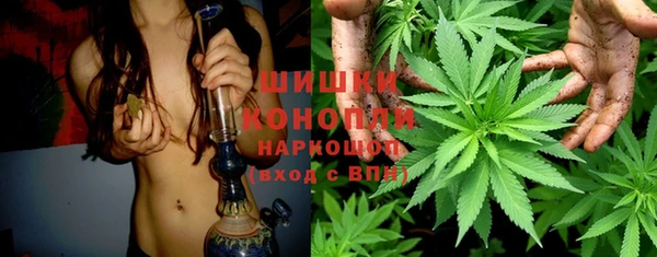 прущие грибы Арсеньев