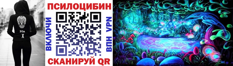 Псилоцибиновые грибы MAGIC MUSHROOMS  ссылка на мегу зеркало  Порхов 